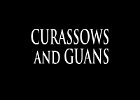 002 - 00 CURASSOWS and GUANS