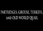 003 - 00 PARTRIDGES, GROUSE, TURKEYS, and OLD WORLD QUAIL