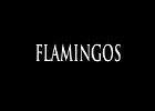 007 - 00 FLAMINGOS