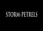 010 - 00 STORM-PETRELS