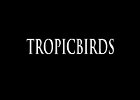 011 - 00 TROPICBIRDS