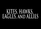 021 - 00 KITES, HAWKS, EAGLES, and ALLIES