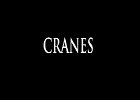 025 - 00 CRANES