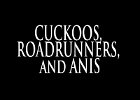 038 - 00 CUCKOOS, ROADRUNNERS, and ANIS
