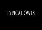 040 - 00 TYPICAL OWLS