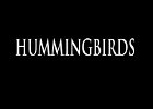 043 - 00 HUMMINGBIRDS