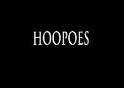 045 - 00 HOOPOES
