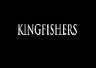 046 - 00 KINGFISHERS