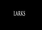 052 - 00 LARKS