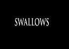 053 - 00 SWALLOWS