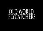 064 - 00 OLD WORLD FLYCATCHERS