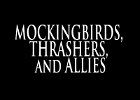 067 - 00 MOCKINGBIRDS, THRASHERS, and ALLIES