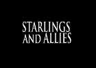 068 - 00 STARLINGS and ALLIES
