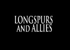 074 - 00 LONGSPURS and ALLIES