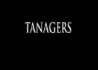 077 - 00 TANAGERS