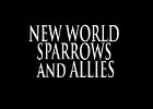 078 - 00 NEW WORLD SPARROWS and ALLIES