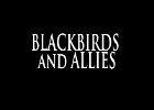 080 - 00 BLACKBIRDS and ALLIES
