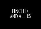 081 - 00 FINCHES and ALLIES