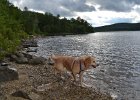 Vermont 2011 (17) : camping 2011