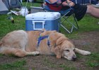 Vermont 2011 (67) : camping 2011