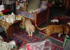 Christmas 2003 (16)