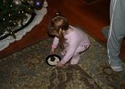 Christmas 2012 (8)