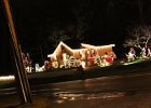 Christmas Lights 2012 (15)
