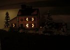 Mom Xmas Village (29)