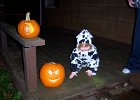 Emily Halloween 2011 (13)