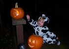 Emily Halloween 2011 (26)