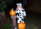 Emily Halloween 2011 (28)