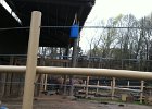 Emily Zoo Trip (4)