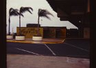 Florida 1978 (4)