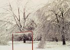 Ice Storm Mar 1984