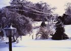Ice Storm Mar 1984 (11)