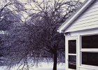 Ice Storm Mar 1984 (15)