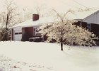 Ice Storm Mar 1984 (5)