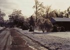 Ice Storm Mar 1984 (6)