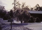 Ice Storm Mar 1984 (7)