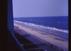 Virginia Beach (7)
