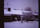Snow Scenes 1978 (8)
