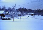Winter Scenes Jan 1981 (1)