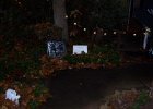Halloween 2009 (2) : Halloween 2009