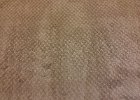 New Carpet (4)