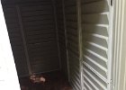 Shed (4)