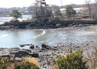 Marblehead 2014 (40)