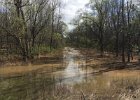 Creek Flood (3)
