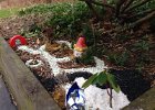 Emily's Fairy Garden (6)