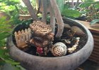 Emily's Fairy Garden (8)