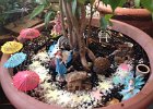 Emily's Fairy Garden (9)